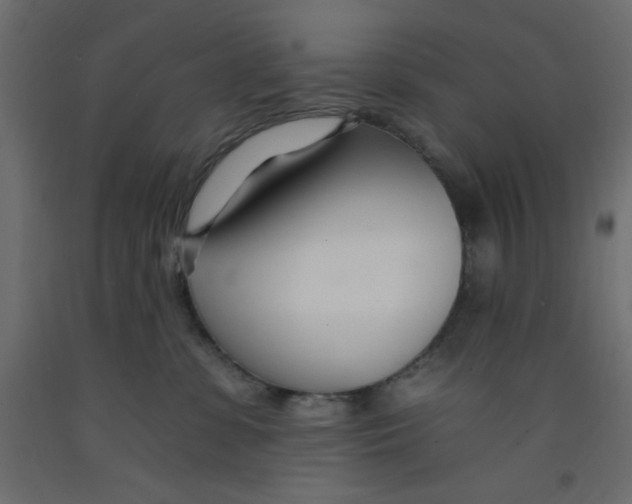 X0000092260331200710121344