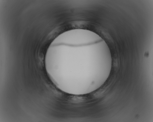 X0000092260332200710121344