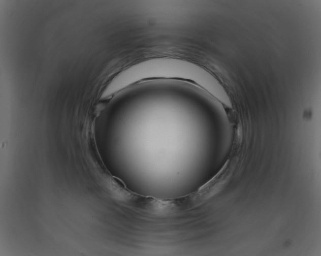 X0000092260333200710121344