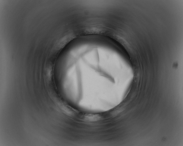 X0000092260334200710121344