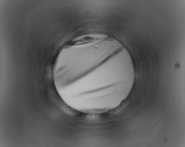 X0000092260335200710121344