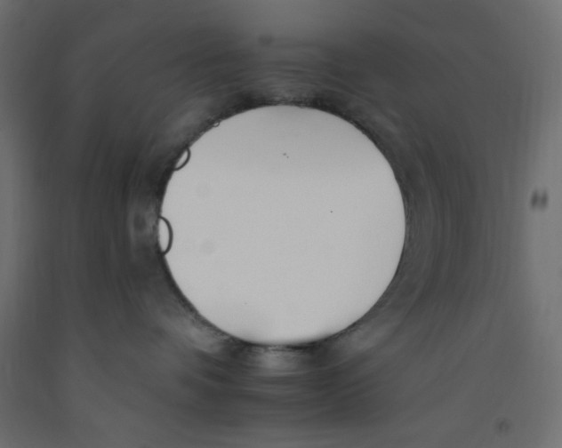 X0000092260336200710121344