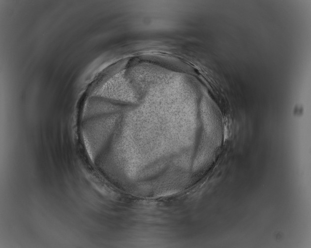 X0000092260339200710121344