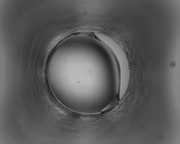 X0000092260340200710121344