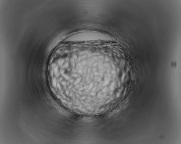 X0000092260341200710121344