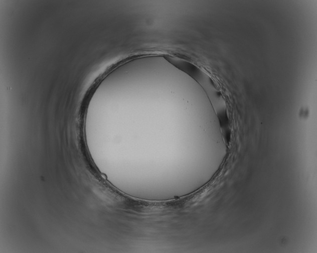 X0000092260342200710121344