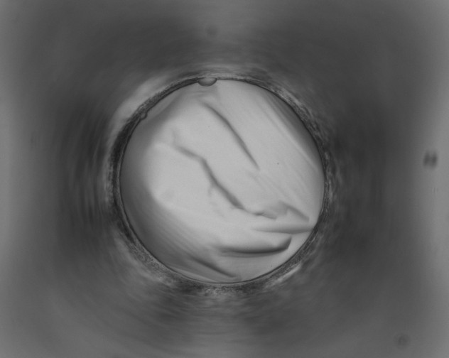 X0000092260343200710121344