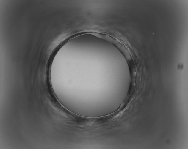 X0000092260344200710121344