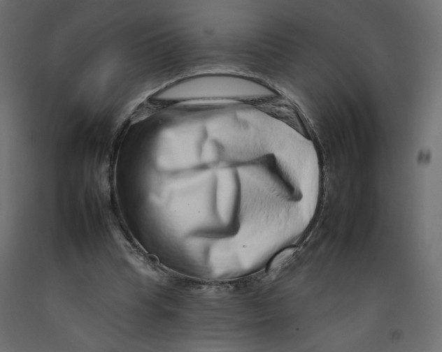 X0000092260345200710121344