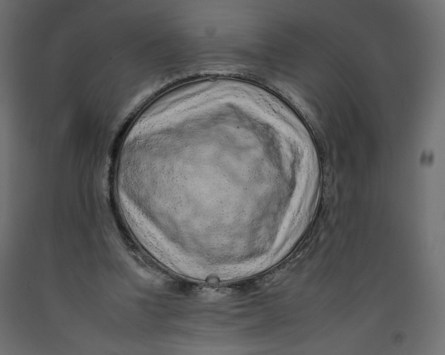 X0000092260346200710121344