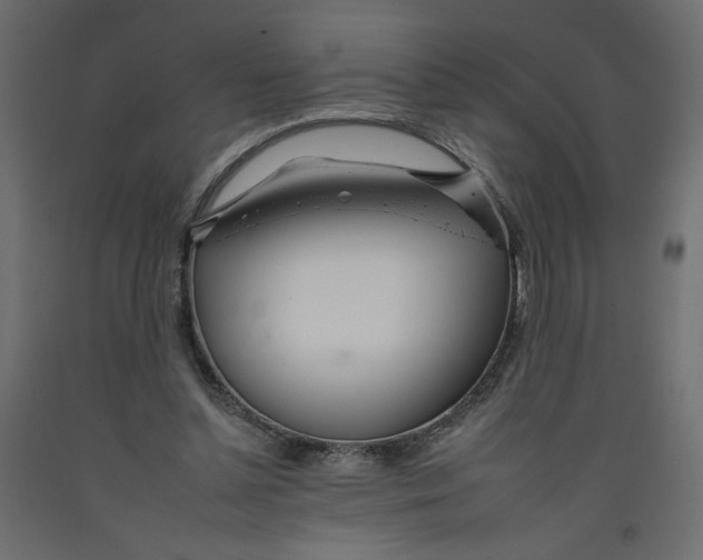 X0000092260348200710121344