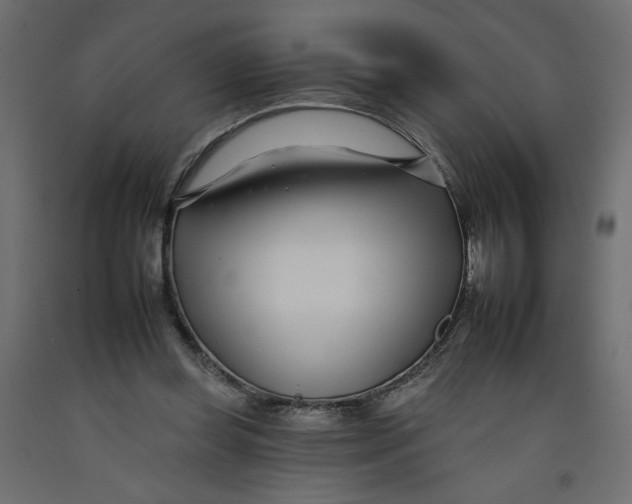 X0000092260349200710121344