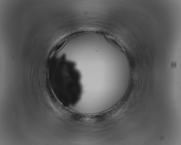 X0000092260352200710121344