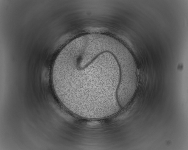 X0000092260357200710121344