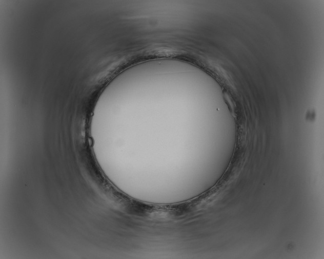 X0000092260358200710121344