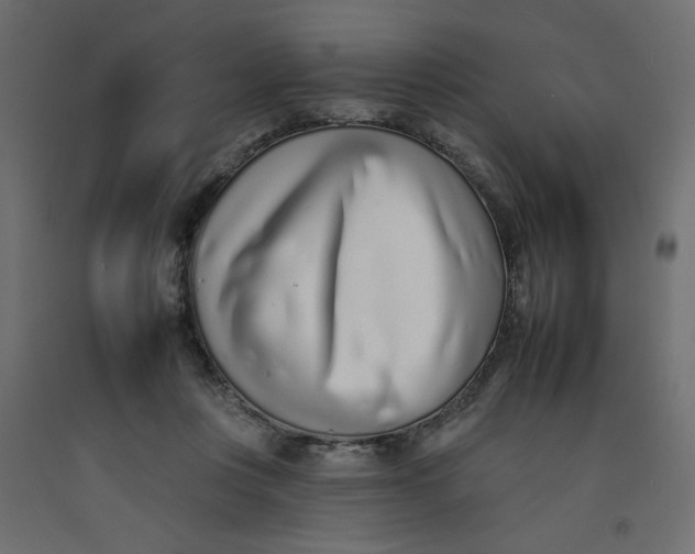 X0000092260359200710121344