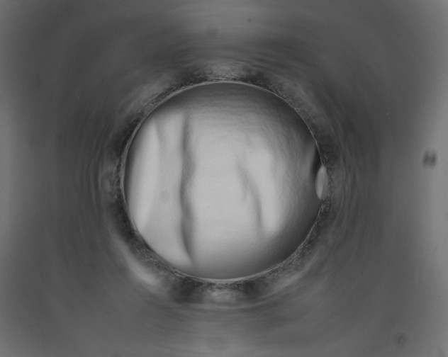 X0000092260360200710121344