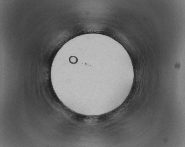 X0000092260362200710121344