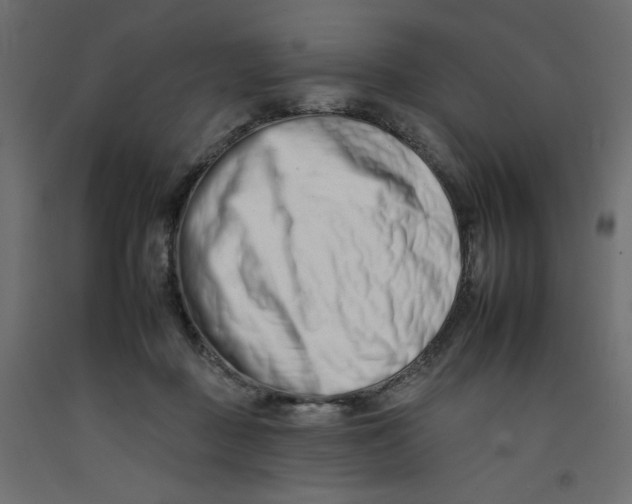 X0000092260363200710121344