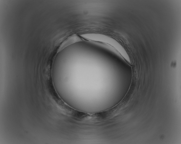 X0000092260364200710121344