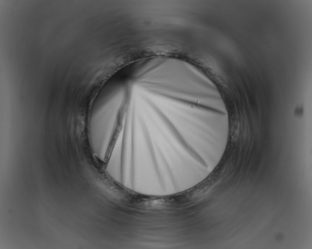 X0000092260365200710121344