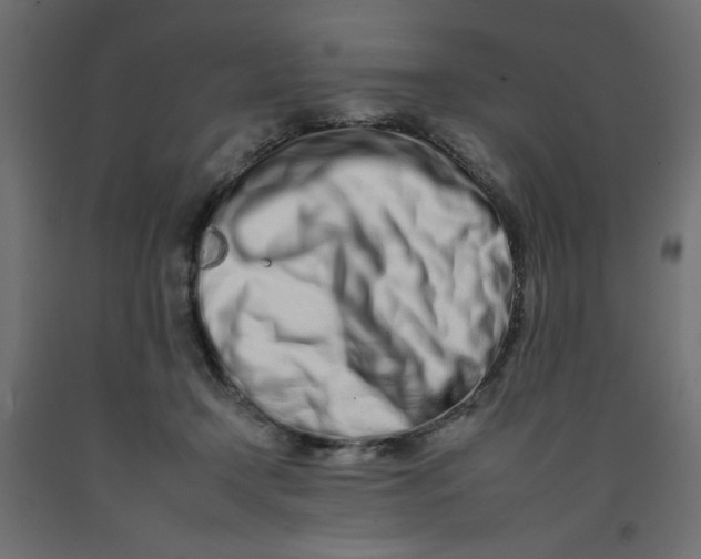 X0000092260366200710121344