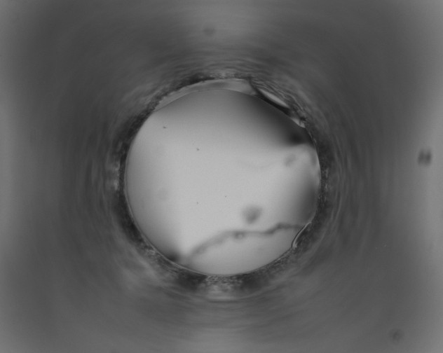 X0000092260368200710121344