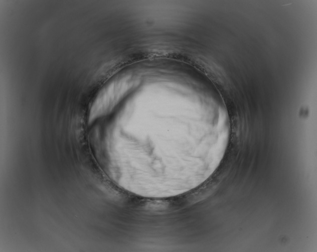 X0000092260369200710121344