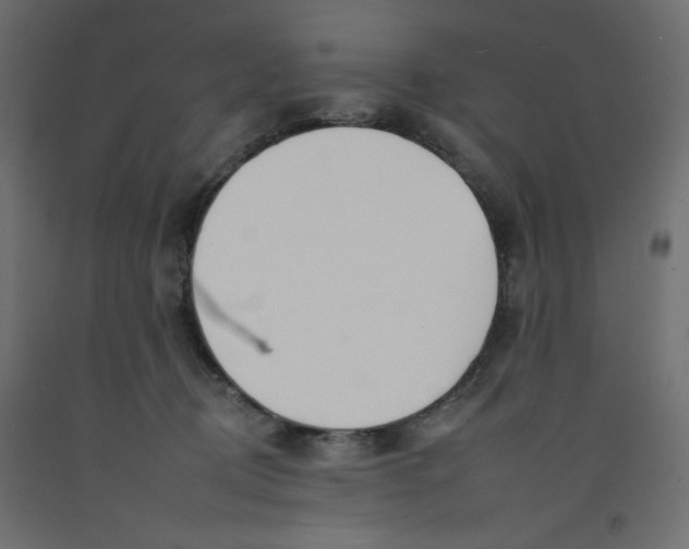 X0000092260370200710121344