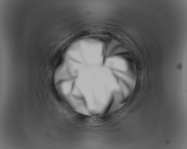 X0000092260372200710121344