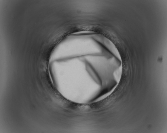 X0000092260374200710121344