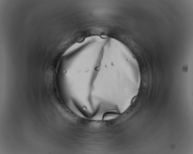 X0000092260375200710121344