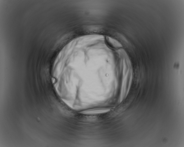 X0000092260377200710121344