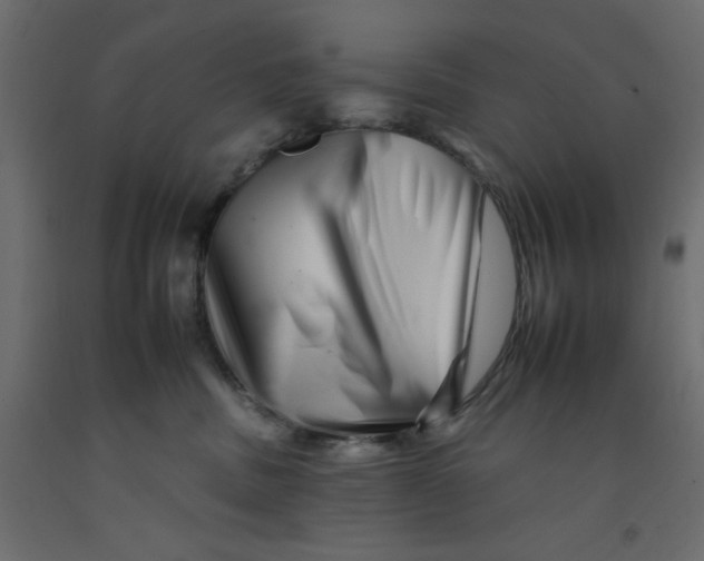 X0000092260379200710121344