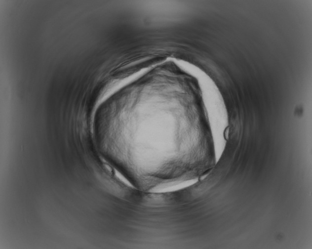 X0000092260381200710121344