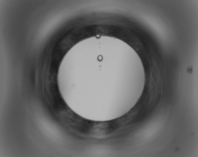 X0000092260382200710121344