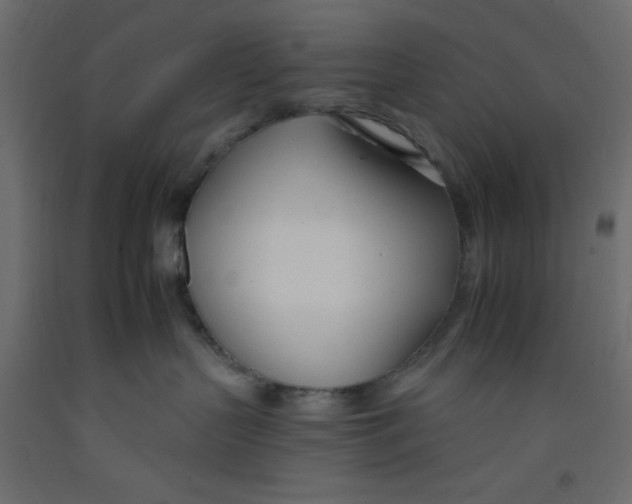 X0000092260383200710121344