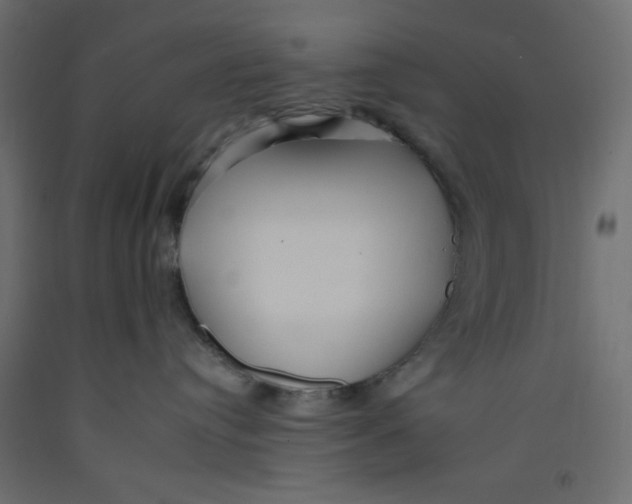 X0000092260384200710121344