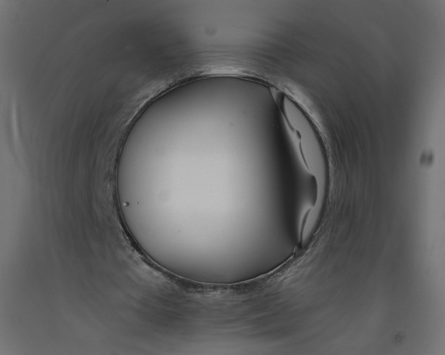 X0000092260385200710121344