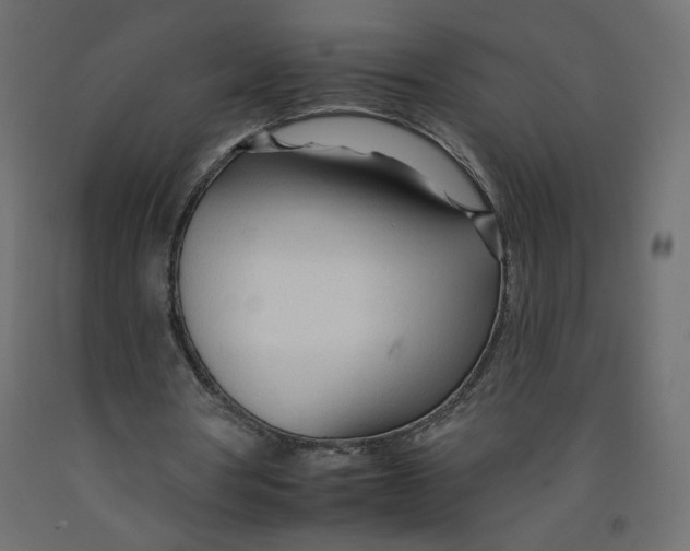 X0000092260386200710121344