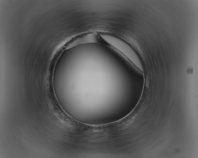 X0000092260388200710121344