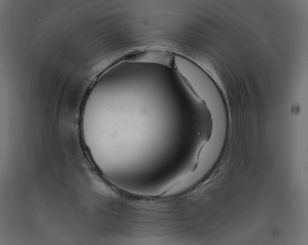 X0000092260389200710121344