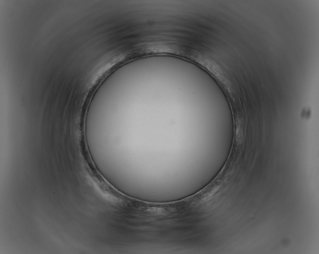 X0000092260390200710121344