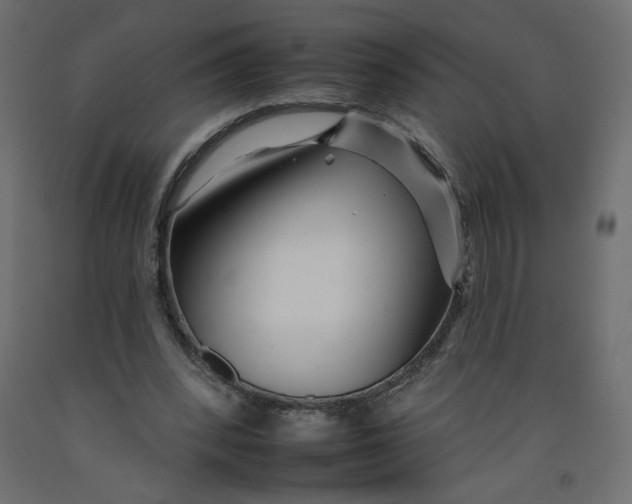 X0000092260392200710121344