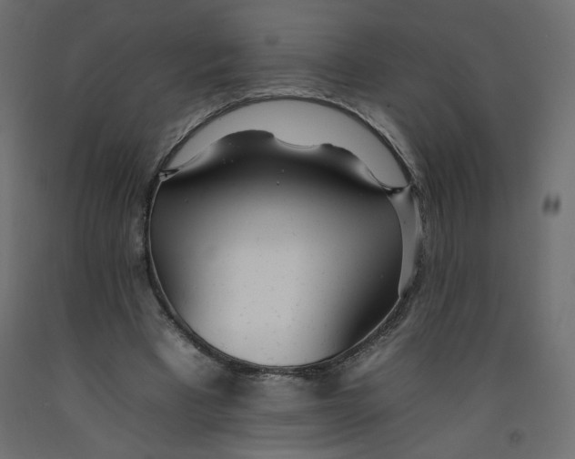 X0000092260393200710121343