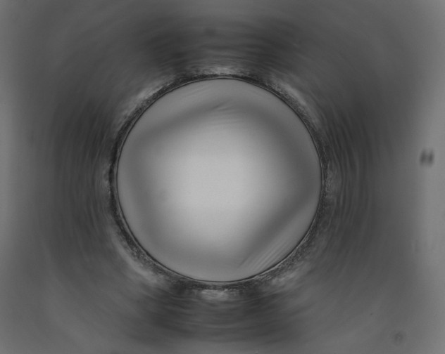 X0000092260394200710121343