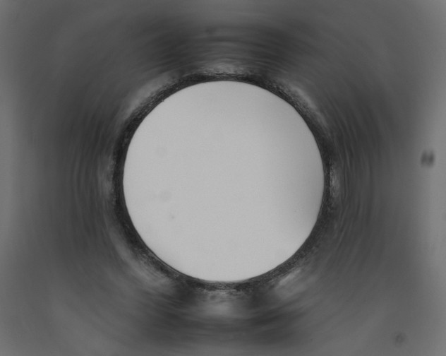 X0000092260396200710121343