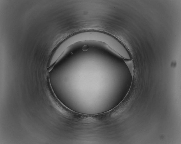 X0000092260397200710121343