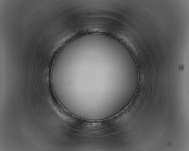 X0000092260398200710121343