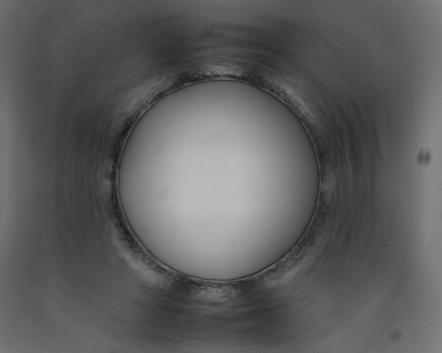 X0000092260402200710121343